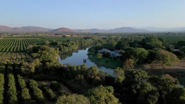 River curves past a small farmstead set between dense avo groves and distant hills in warm evening light, shot from a drone.