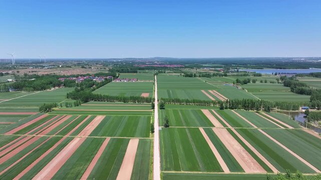 Aerial view of neatly striped farmland with green fields and rural landscape under clear blue sky