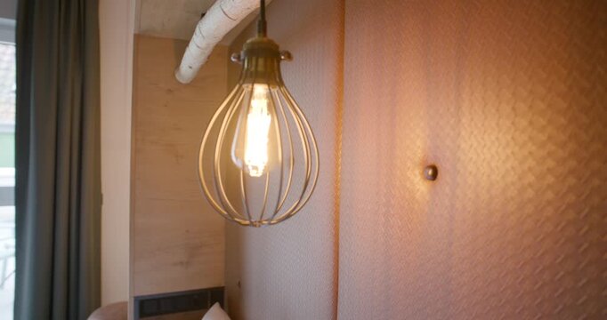 Close-up shot of a vintage style Edison light bulb in a wire cage lamp fixture hanging from a birch branch