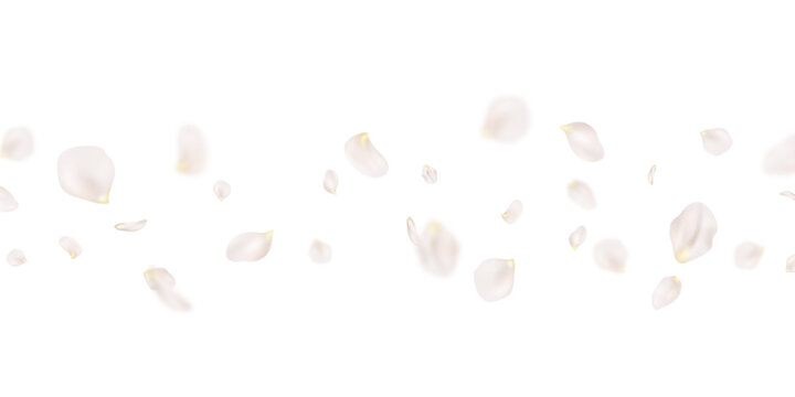 Flower petals fall onto an abstract background, forming a beautiful floral pattern on a greeting card. Vector illustration.