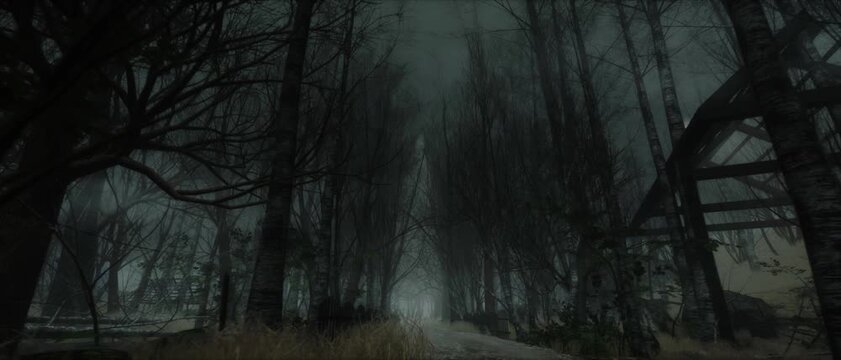 spooky tree in the forest