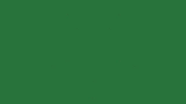Broken window and clock on it black outline of spider this is picture white image glass bird flying in the air an cross - Chroma Key Green Screen Footage