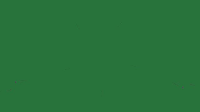 A group of birds flying in the air and green screen with bunch flowers on it background broken window white border this is picture purple motion - Chroma Key Green Screen Footage