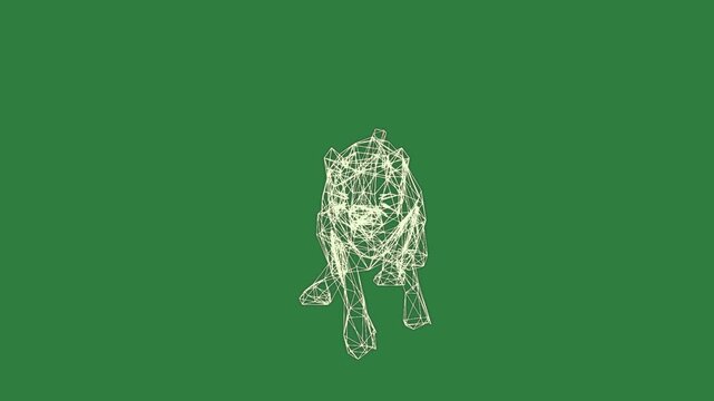 A white cat running on green background and bull with outline of tiger panther horse line drawing green screen frame motion - Chroma Key Green Screen Footage