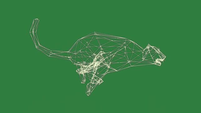 A green background with white border and lines striped tiger ' s tail black photo of man in suit leaf on green screen colorful design - Chroma Key Green Screen Footage