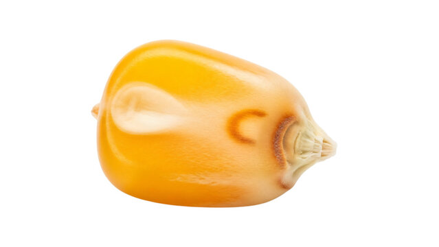 Close up view of lemon on black background with white spot in.