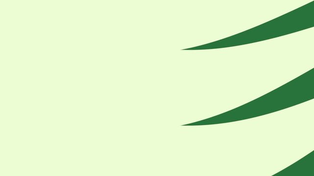 A green background with white border and wavy lines wave pattern blank paper leaves on it zebra print palm leaf green screen cartoonish design figure - Chroma Key Green Screen Footage