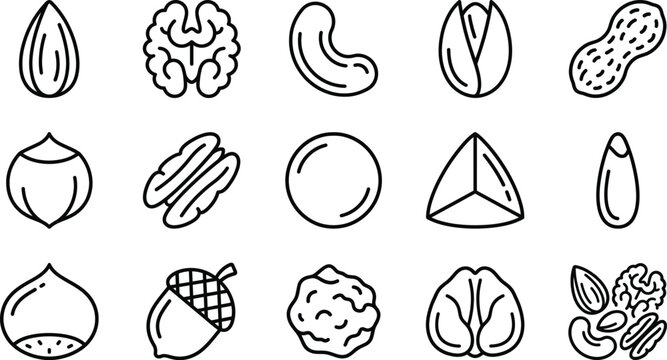 Edible Nuts Line Art Icons Vector Almond Walnut Cashew Pistachio Outline Set