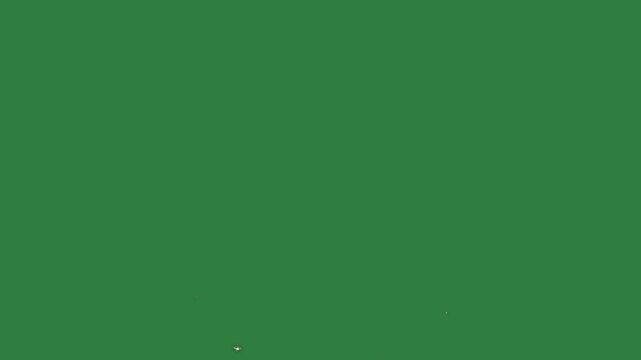 Clock person black bunch ants flowers bird isolated on green screen background