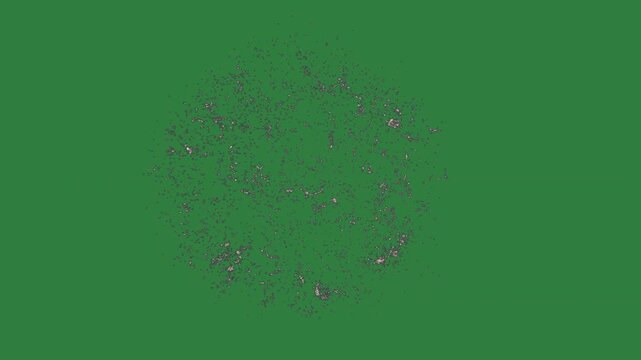 Flower black logo bird flying in the air photo of tree middle isolated on green screen background