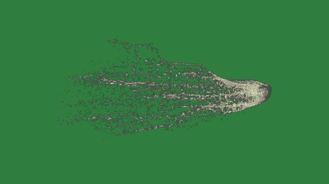 Hole shark fingerprint whale water splashing isolated on green screen background