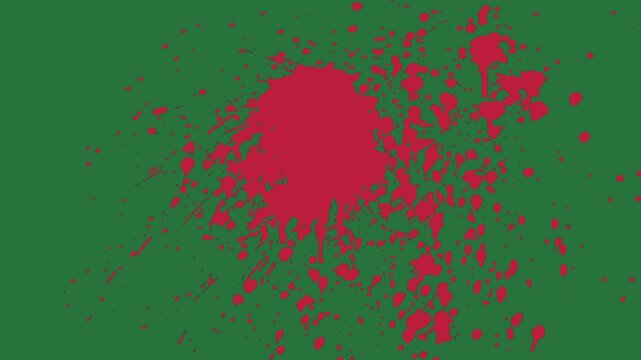 White border and screen red heart spot splash of paint splashs isolated on green screen background