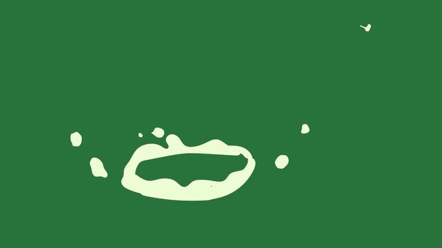 A white circle on green background and with cat it pig smiley face crown isolated on green screen background