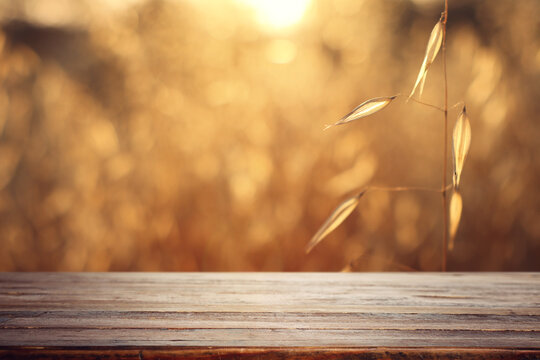 Empty rustic table in front of countryside background. product display and picnic concept