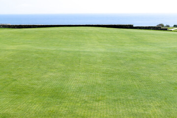 Obraz premium Green lawn background with copy space