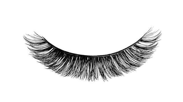 False lashes isolated isolated on white background