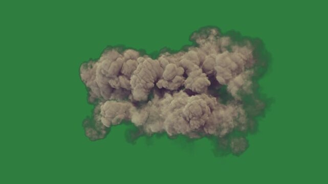 Broken window and mushrooms on sheep cloud smoke white background flowers isolated on green screen background