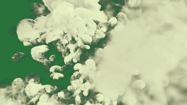 White cat and silhouette of person cloud clouds in the background middle lot bubbles border man sitting ground front isolated on green screen background