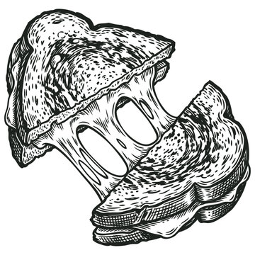 Detailed vector engraving illustration of a grilled cheese sandwich pulled apart with melting cheese stretching between bread halves. Vintage sketch.