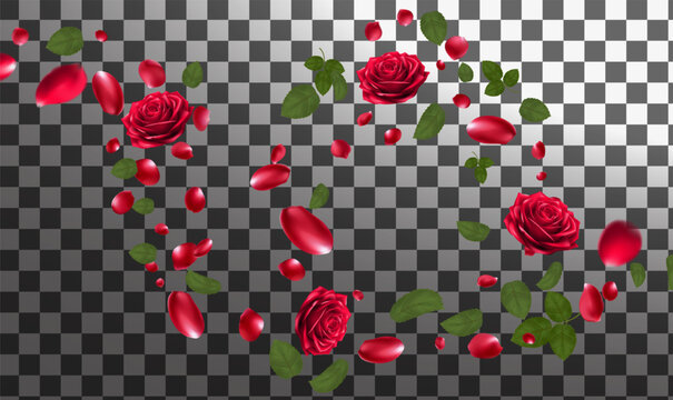dynamic swirl of realistic red roses green leaves cascading across festive banners and luxury cosmetic advertising