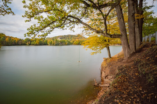 View of Pocuvadlo lake surrounded by vibrant autumn foliage with a rope swing hanging from a tree on the shore in Banska Stiavnica, Banskobystricky kraj, Slovakia.