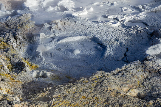 View of Geisers Sol de la Manana with bubbling mud pools and steaming geothermal activity in the volcanic landscape of Sur Lipez, Potosi Department, Bolivia.
