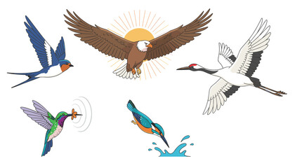 Obraz premium Colorful flying birds vector collection showcasing swallow, crane, hummingbird, kingfisher, and eagle in front of sun.