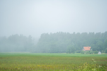 Fototapeta premium Rural Landscape With Farmhouse