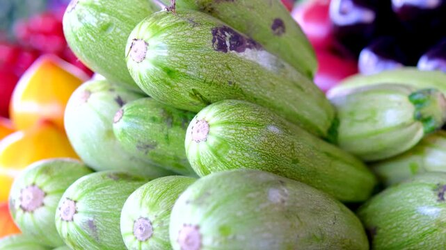 Fresh zucchini from garden soil displayed at farmer market with eggplants and tomatoes in background seasonal farm harvest