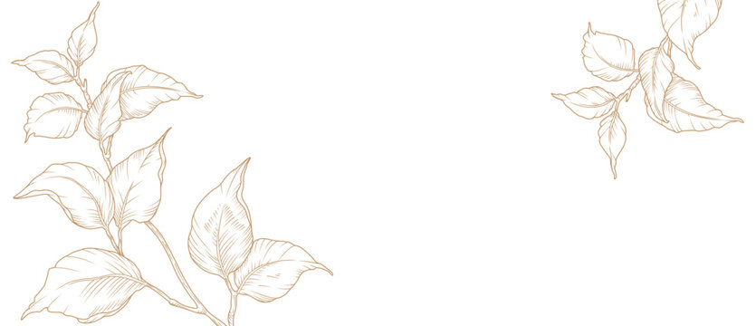 Floral background in line art style with hand drawn branches and leaves isolated on white background. Botanical leaf frame, corner. Vector pattern for wedding invitation, card, banner, cover
