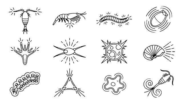 Hand drawn collection of microscopic plankton and marine microorganisms in black ink style.