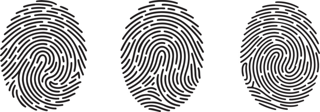 Set of three fingerprint icons, unique biometric identification patterns, vector illustration of human finger prints