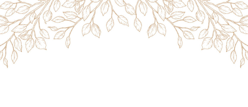 Floral background in line art style with hand drawn branches and leaves isolated on white background. Botanical leaf frame, border. Vector pattern for wedding invitation, card, banner, cover