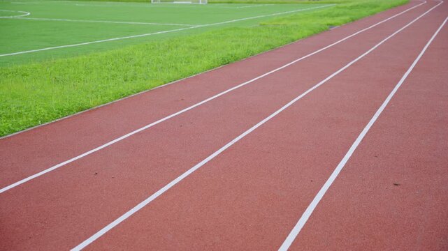 Wide running track with clear lane markings near lush lane. Rubber surface designed for traction provides ideal environment for sprints