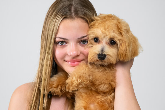 Studio portrait series of a smiling teenage girl interacting with her small fluffy puppy in a minimalist white studio. Authentic friendship between young owner and pet, emotional connection, care, aff