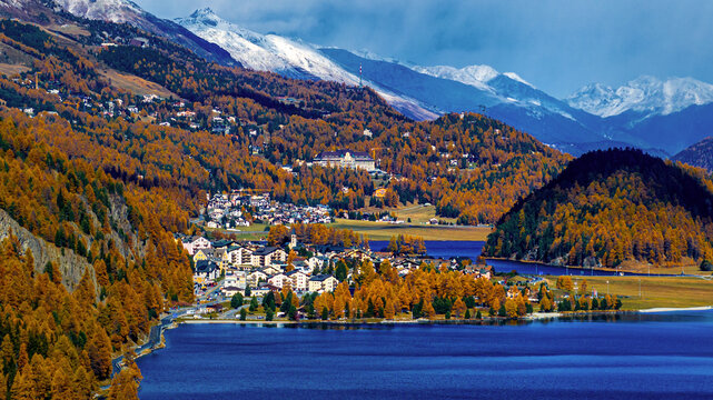 Saint Moritz, Grisons, Switzerland - 24 October 2025: Aerial view of the town of Saint Moritz nestled by the lake surrounded by vibrant autumn larch forests and snow-capped mountains.