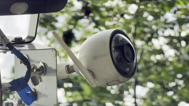 A white security camera stands watch against a soft background of green trees. This protective device provides a comforting sense of safety and calm in the yard.