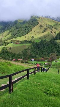 Picturesque view of the lush green hills and misty mountains in cocora valley. People walking down a path enjoying the scenic landscape