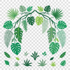 Fototapeta premium Collection of various green tropical leaves.
