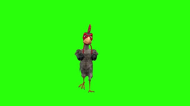 Funny red hen or farm cock dancing animal video art motion green screen or chroma key