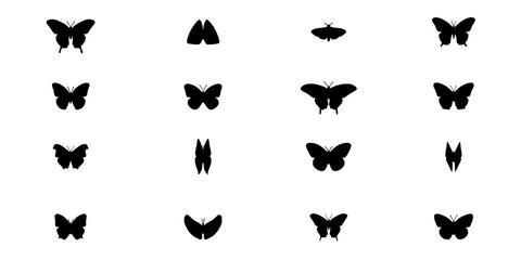 Fototapeta premium Butterflies in Black and White Minimalist Graphic Illustration Featuring Butterfly, Insect, Nature with Design and Vector