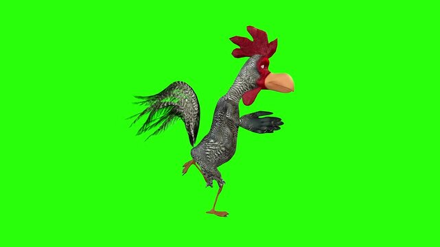 Red hen dancing cartoon animal video clip oo funny animals video art green screen or chroma key