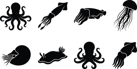 Collection of cephalopod and marine mollusk black silhouettes including octopus squid and jellyfish isolated on white background © Sirajul