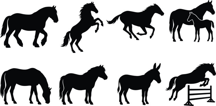 Collection of horse and donkey black silhouettes including jumping running rearing stallions and mare with foal isolated on white background