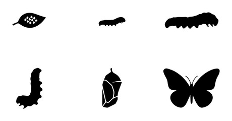 Butterfly Life Cycle Stages, Metamorphosis Icons, Insect Growth Vector Set © Kamrul