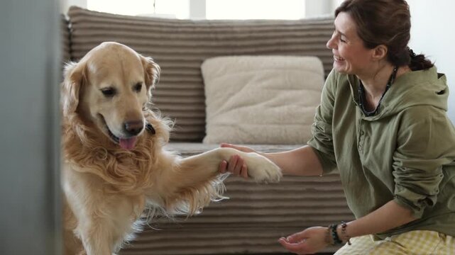 Happy Smiling Girl Asking An Adorable Golden Retriever Dog To Give A Paw On A Floor In A Cozy Room