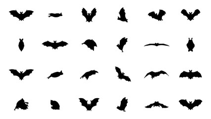 Fototapeta premium Bats Silhouettes Set in Black Vector Icons with Varied Flying Poses on White Background Featuring Bat, Silhouette, Collection