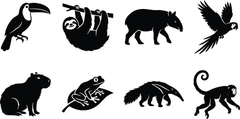 Fototapeta premium Rainforest animal silhouettes including toucan sloth tapir parrot capybara frog and monkey.