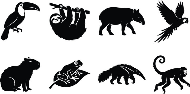 Rainforest animal silhouettes including toucan sloth tapir parrot capybara frog and monkey.