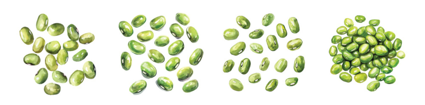 A painting of mung beans set, Simple Illustration, watercolor style, minimal yet artistic elements for creative designs. EPS format, isolated on transparent background, plants